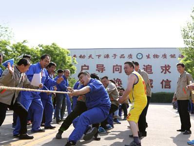 2017年五一运动会